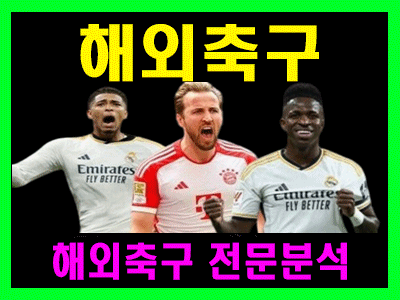 6월 08일 월드컵 예선전 오스트리 vs 루마니아