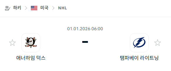 [아이스하키 NHL] 01월01일 애너하임 덕스 vs 탬파베이 라이트닝 분석 중계