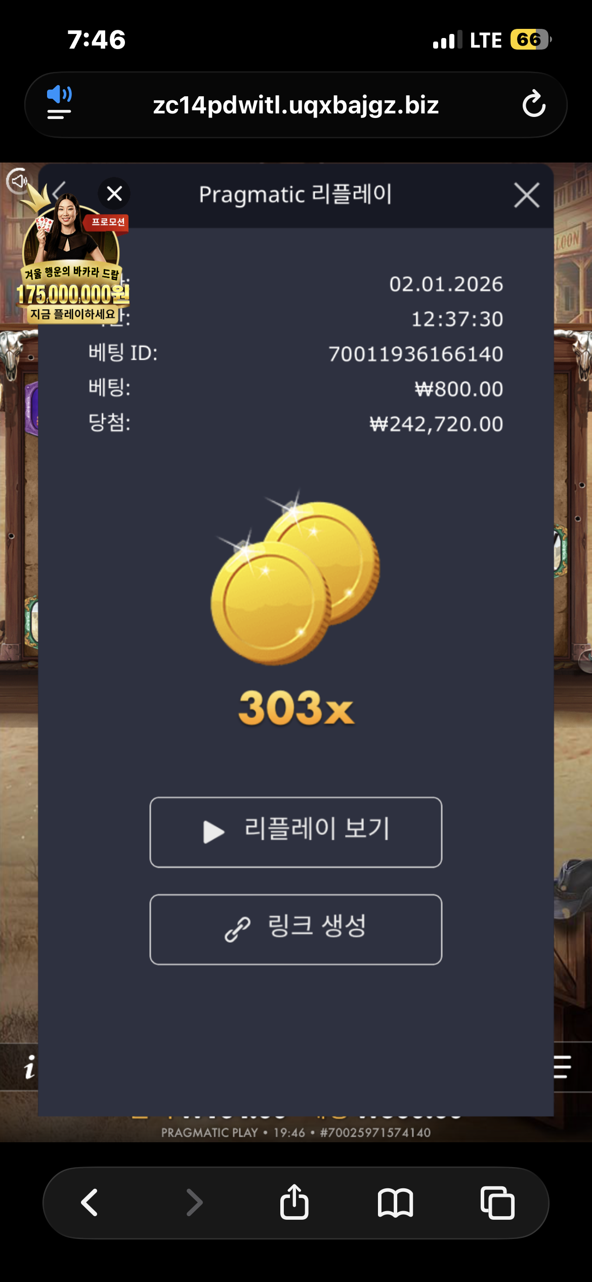 손오공 사이트 홍보합니다~