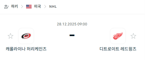 [아이스하키 NHL] 12월28일 캐롤라이나 허리케인스 vs 디트로이트 레드윙스 분석 중계